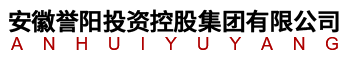 安徽誉阳投资控股集团有限公司